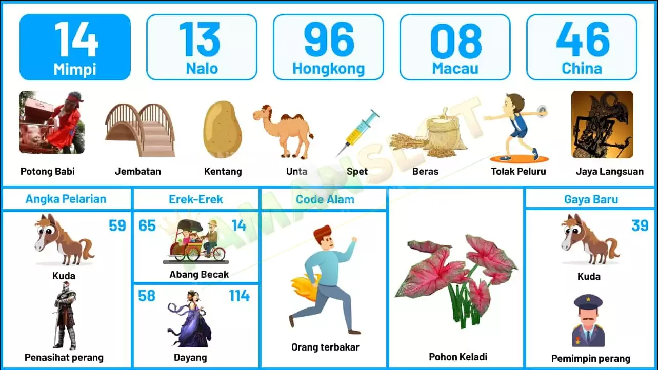 buku mimpi erek erek togel 14