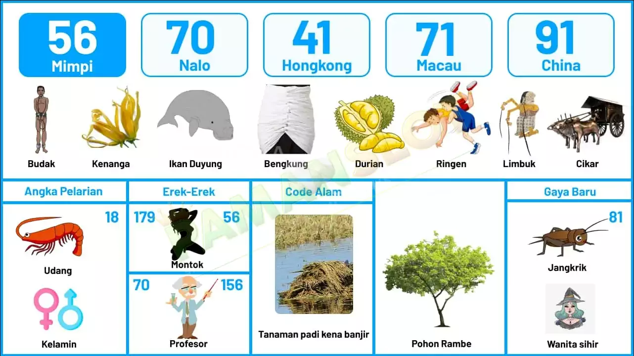 buku mimpi erek erek togel 56