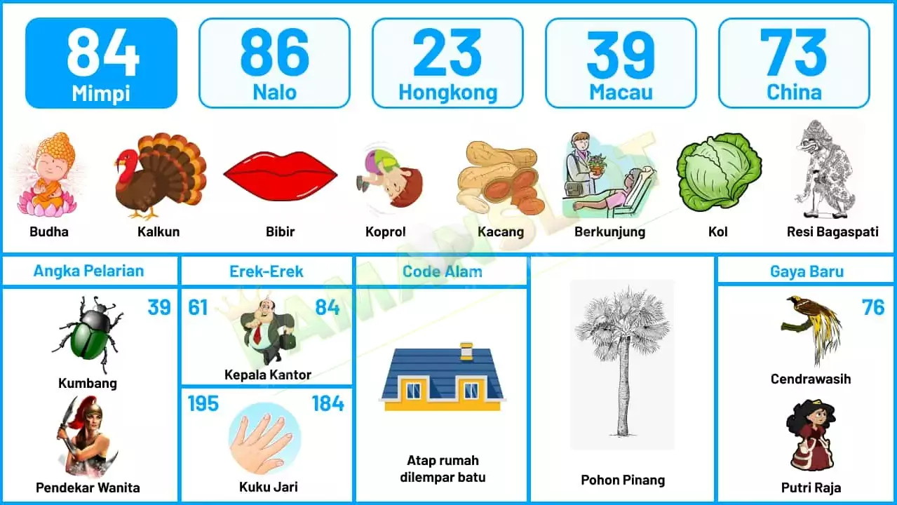 buku mimpi erek erek togel 84